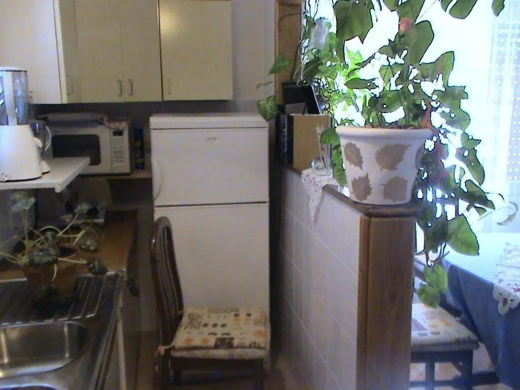 Apartment Ivy 트로기르